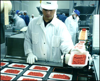 Food Industry Gear Boxes, Food Industry Gear Box, Gears for Food Industry, Food Industry Gears